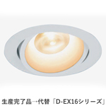 D-EX13